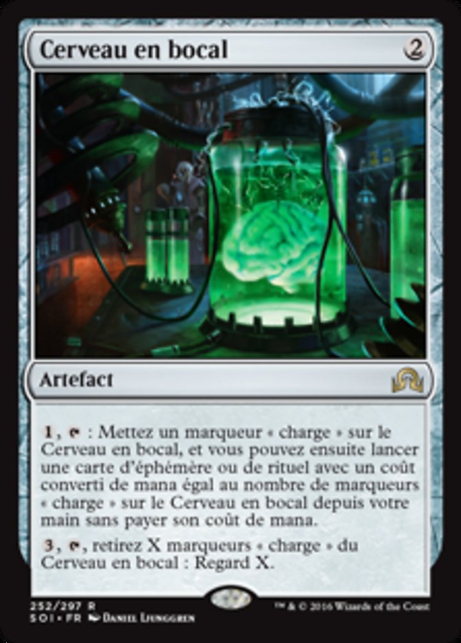 image Cerveau en bocal