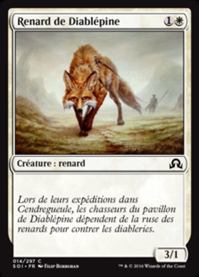 image Renard de Diablépine