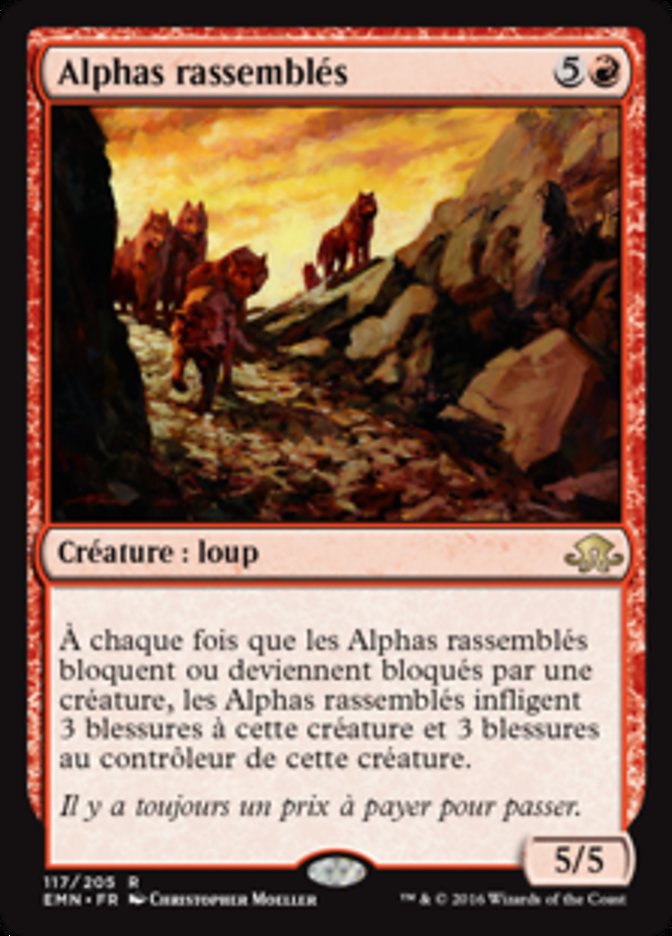 image Alphas rassemblés