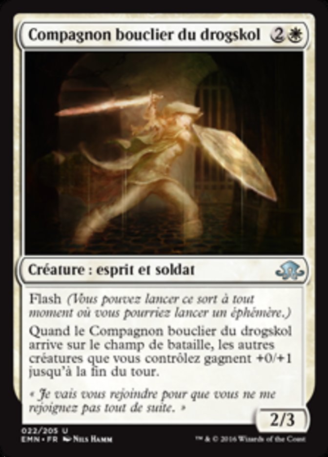 image Compagnon bouclier du drogskol