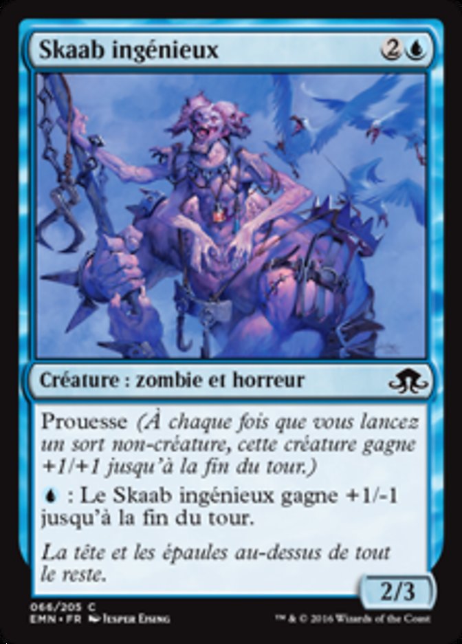 image Skaab ingénieux