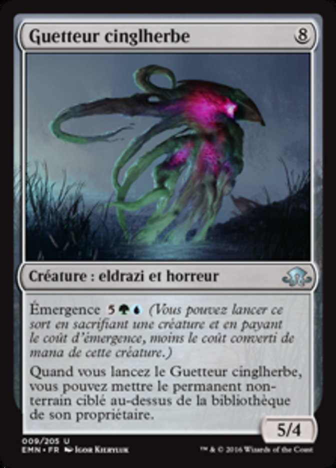 image Guetteur cinglherbe