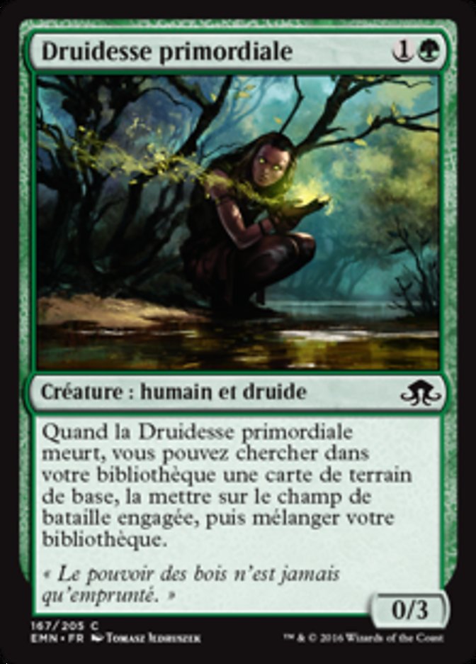 image Druidesse primordiale