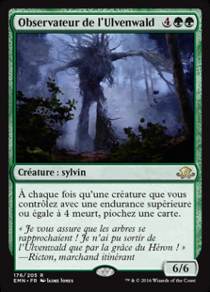 image Observateur de l'Ulvenwald