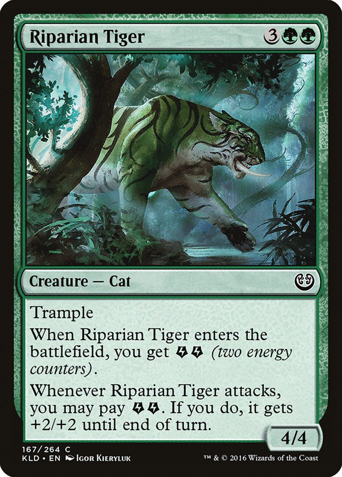 image Riparian Tiger