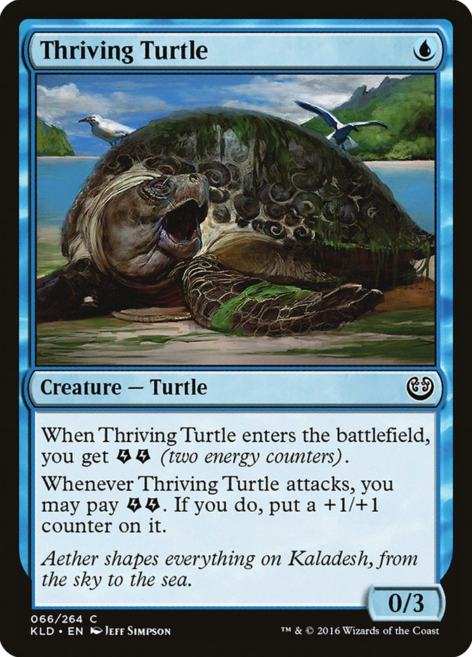image Thriving Turtle
