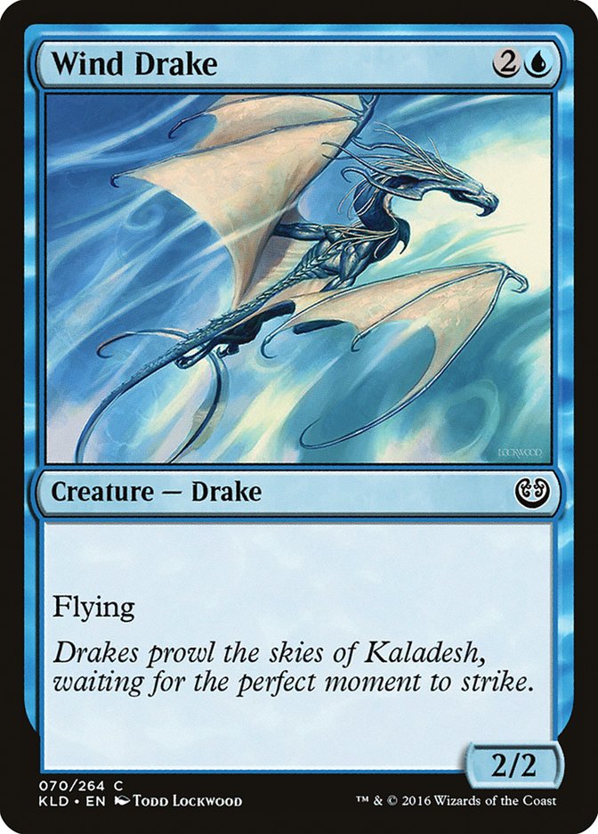 image Wind Drake