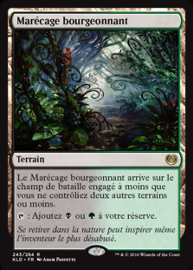 image Marécage bourgeonnant