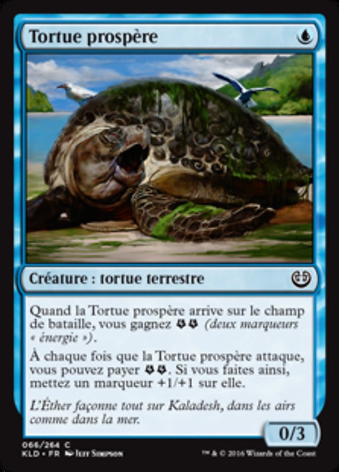 image Tortue prospère