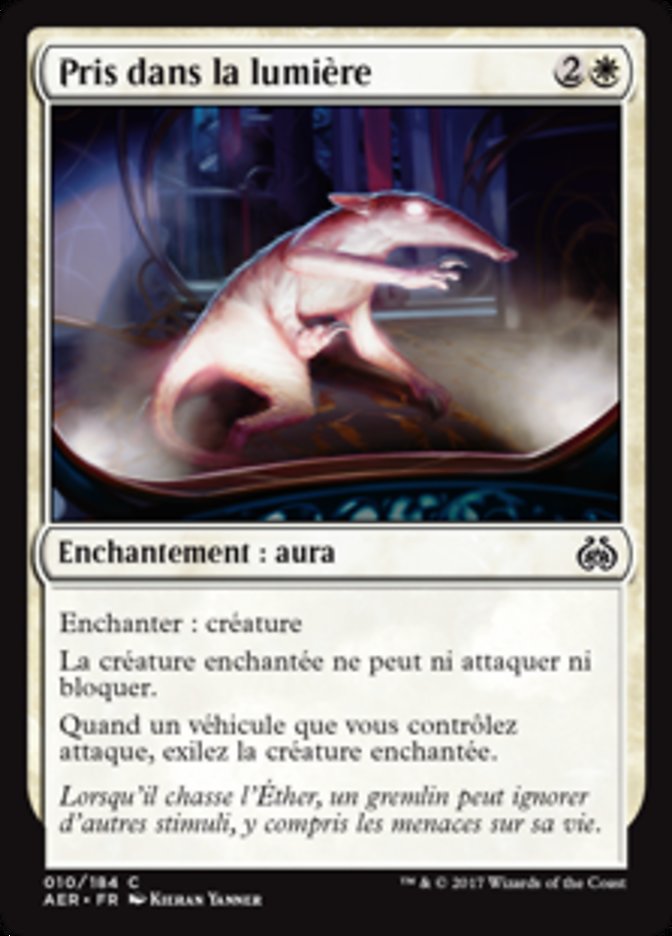 image Pris dans la lumière