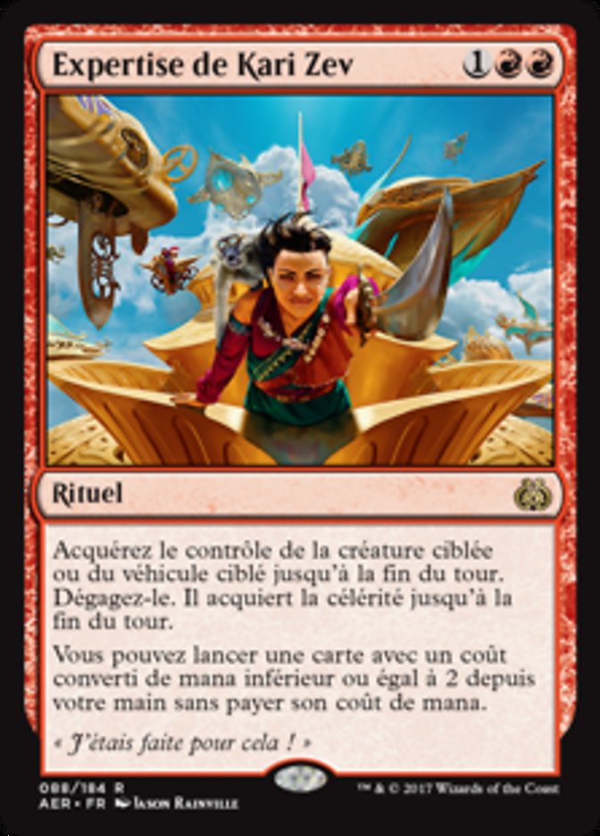 image Expertise de Kari Zev