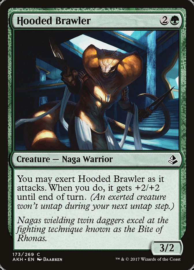 image Hooded Brawler