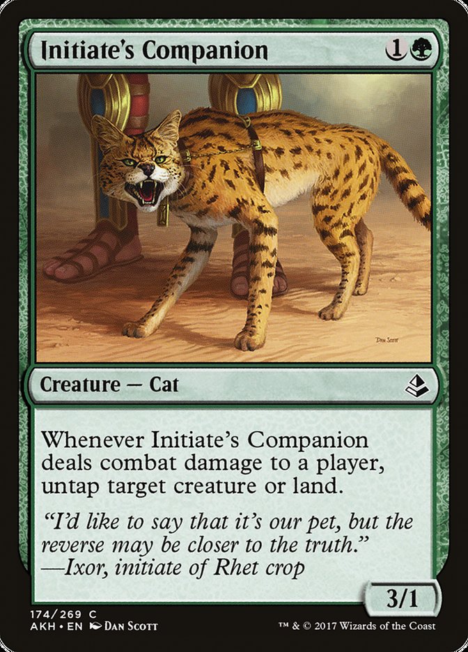 image Initiate's Companion