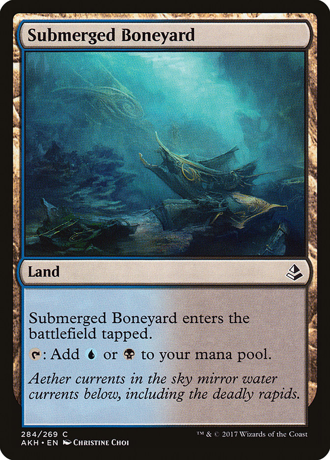 image Submerged Boneyard