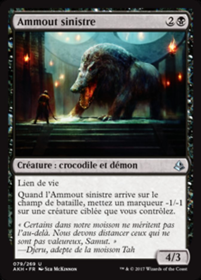 image Ammout sinistre