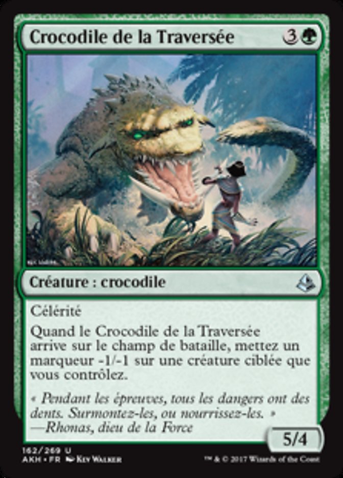 image Crocodile de la Traversée