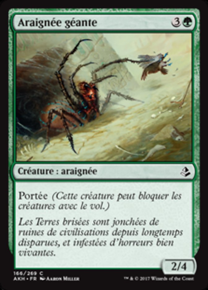 image Araignée géante