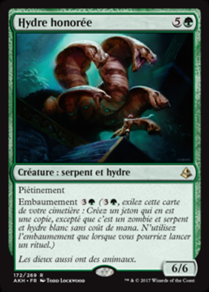 image Hydre honorée