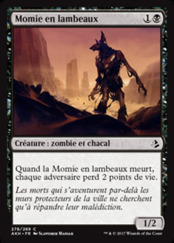 image Momie en lambeaux