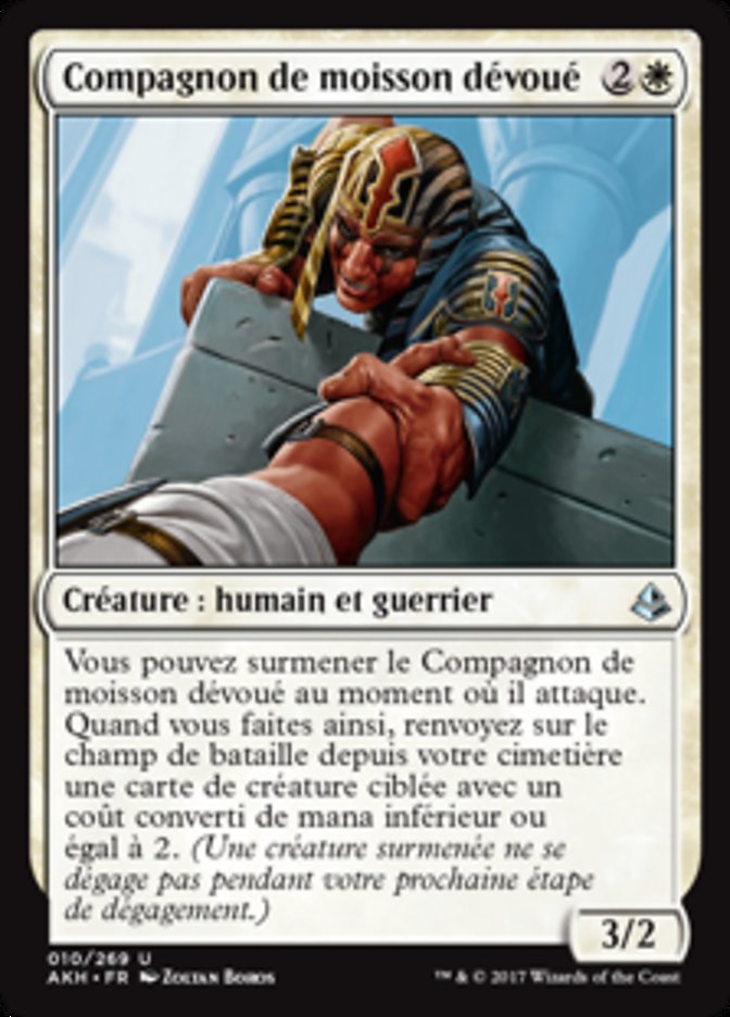 image Compagnon de moisson dévoué