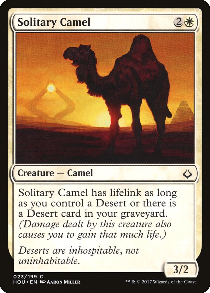 image Solitary Camel