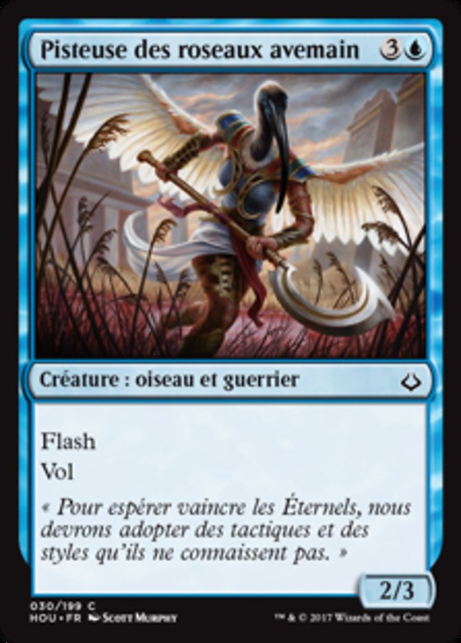 image Pisteuse des roseaux avemain