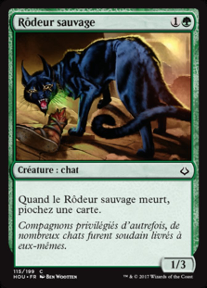 image Rôdeur sauvage