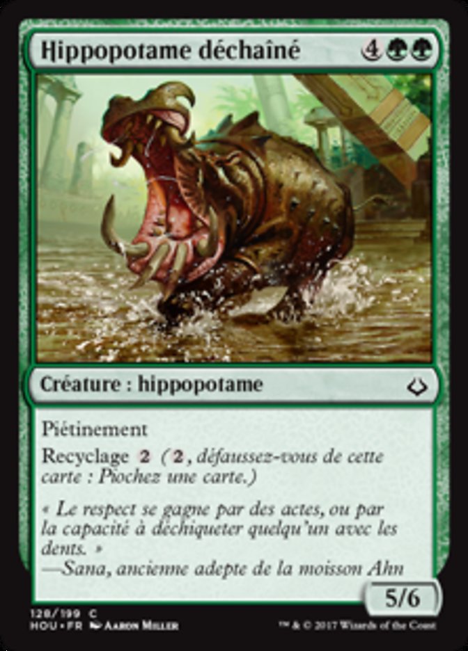 image Hippopotame déchaîné