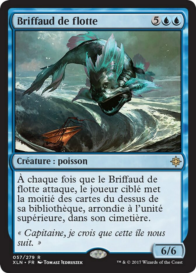 image Briffaud de flotte