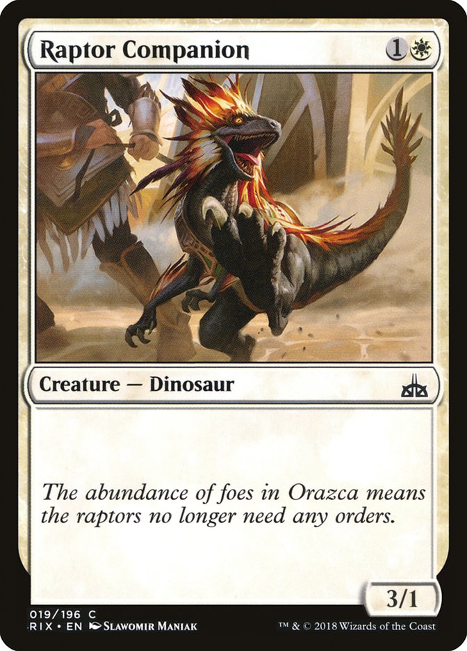image Raptor Companion