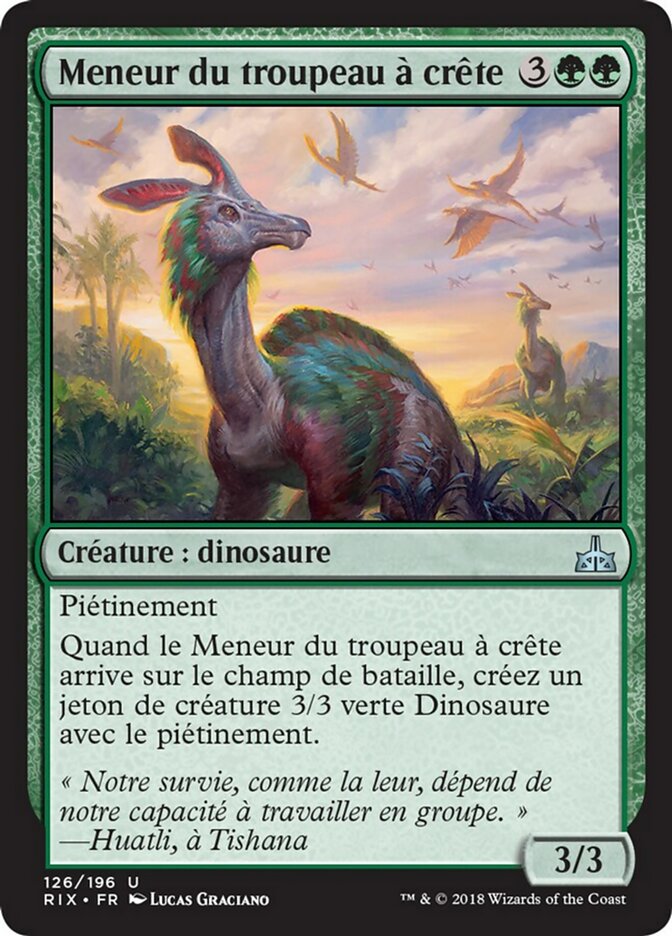 image Meneur du troupeau à crête