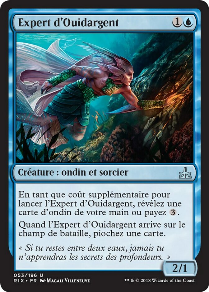 image Expert d'Ouidargent