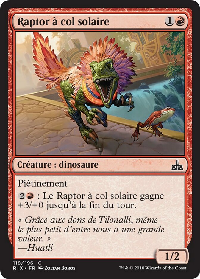 image Raptor à col solaire