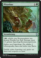 Pilzanbau