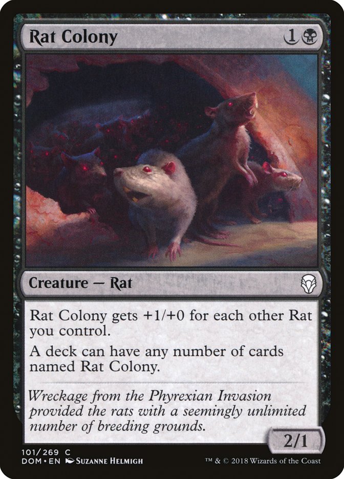 image Rat Colony