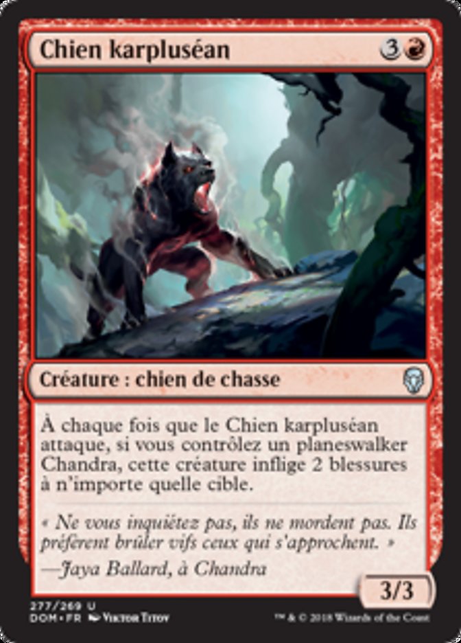 image Chien karpluséan