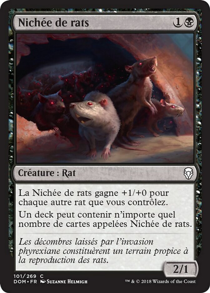 image Nichée de rats