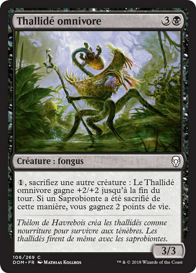 image Thallidé omnivore