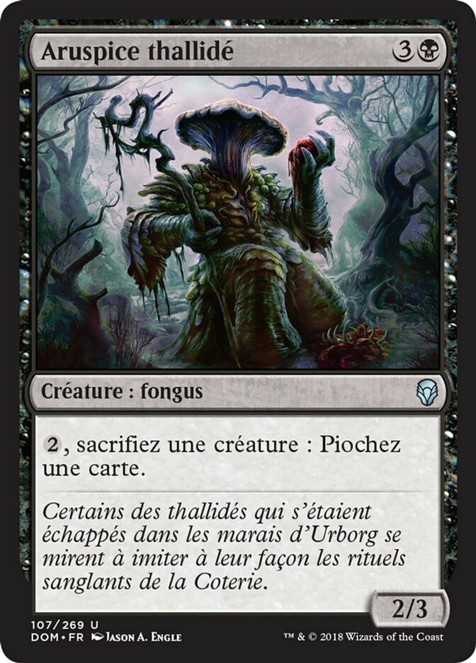 image Aruspice thallidé