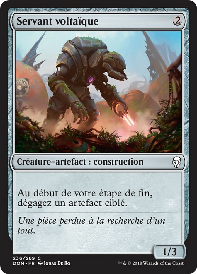 image Servant voltaïque