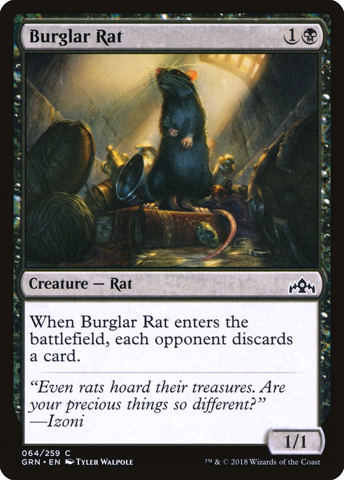 image Burglar Rat