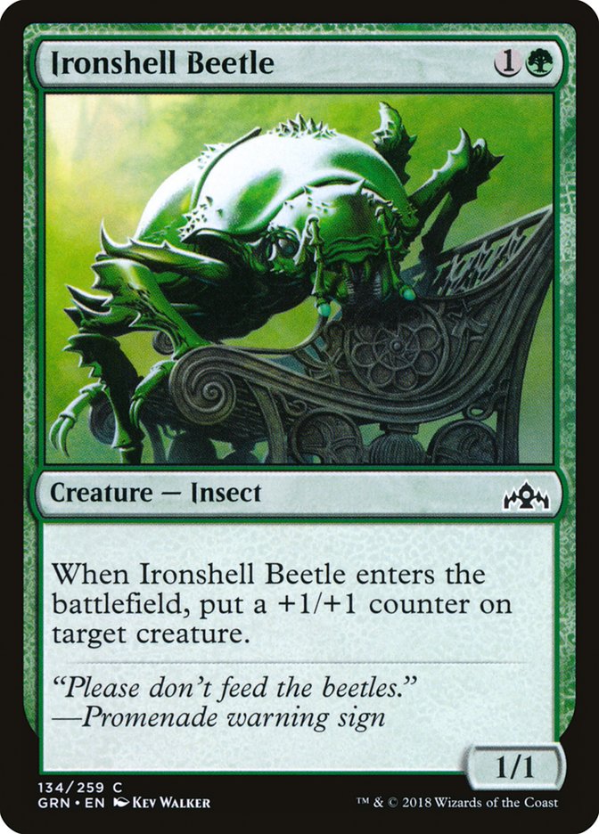 image Ironshell Beetle
