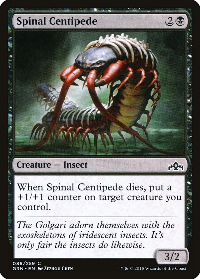 image Spinal Centipede
