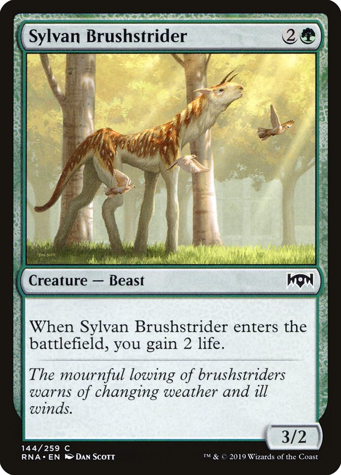 image Sylvan Brushstrider