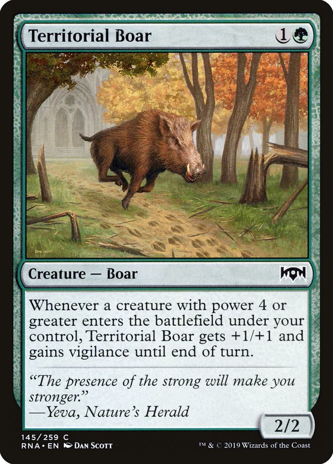 image Territorial Boar