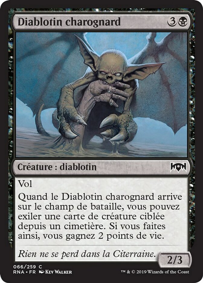 image Diablotin charognard