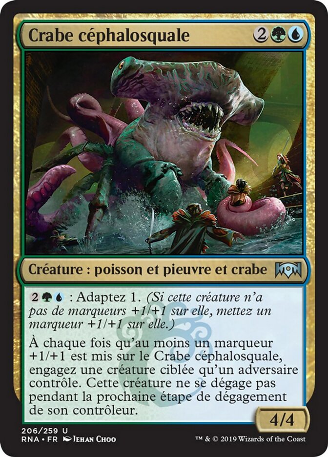 image Crabe céphalosquale