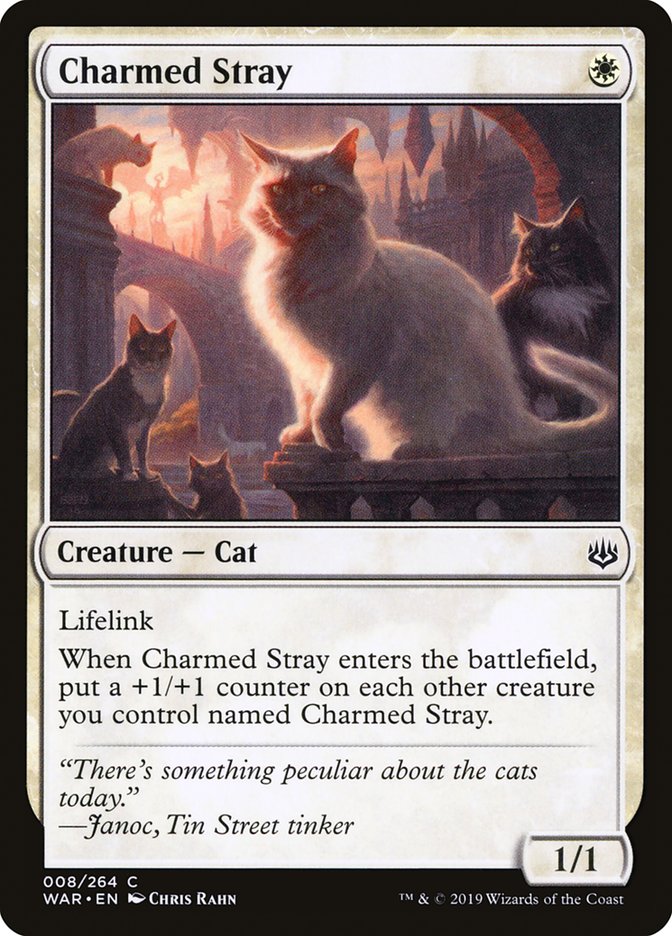 image Charmed Stray