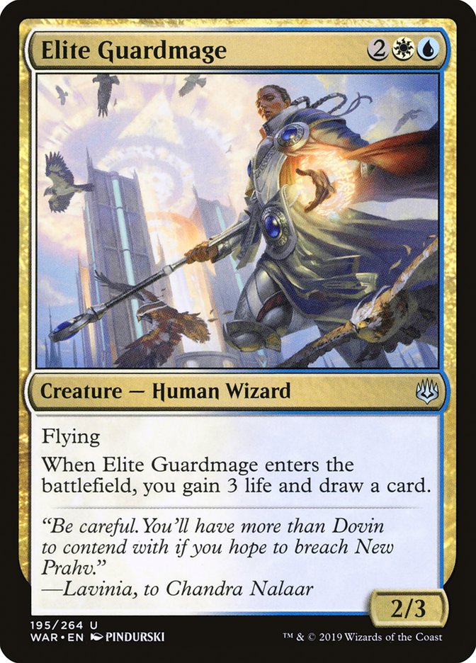 image Elite Guardmage