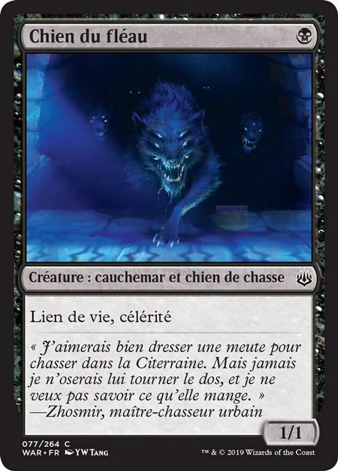 image Chien du fléau